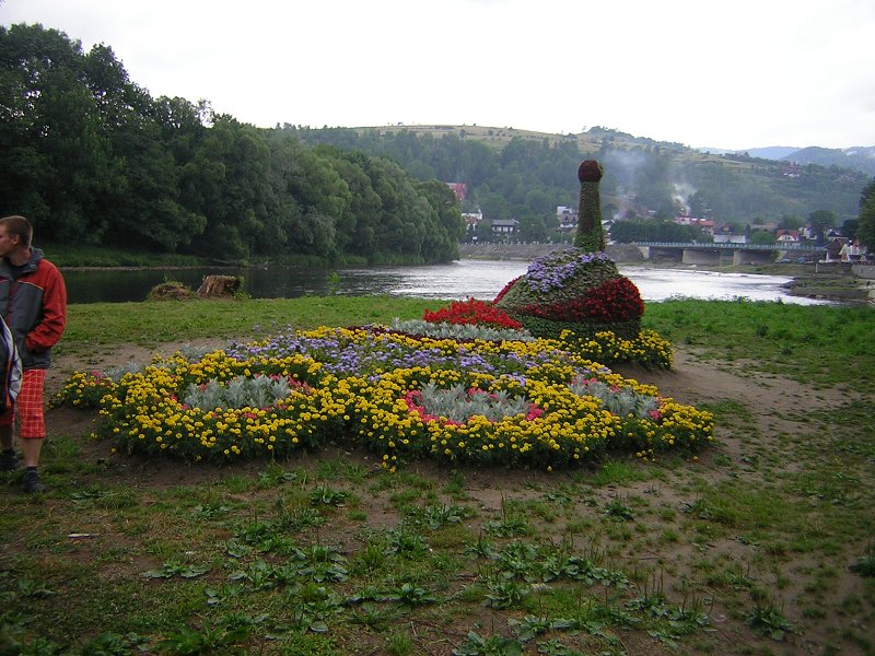 DSCN8881.jpg