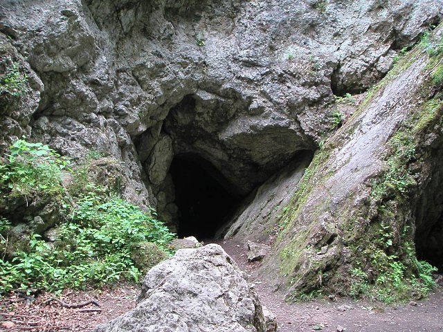 PICT0115.jpg