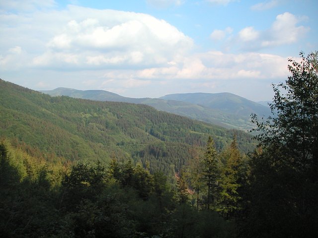 PICT0169.jpg