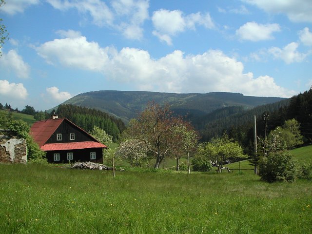 PICT0231.jpg