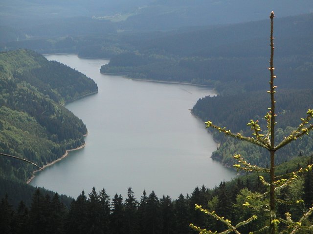 PICT0303.jpg