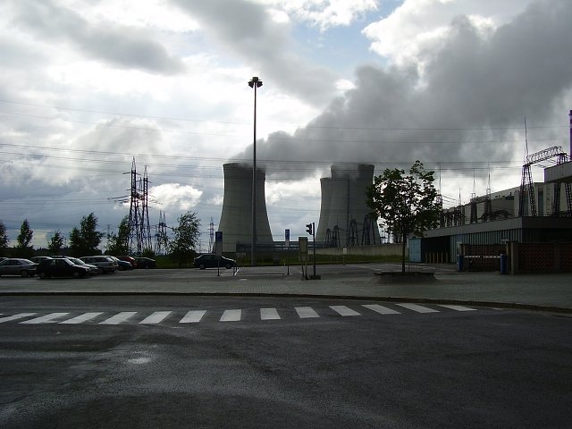 P6100014.jpg