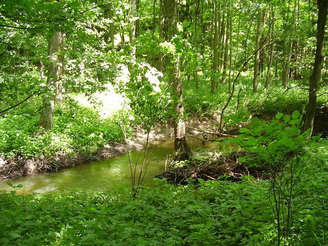 P6100154.jpg