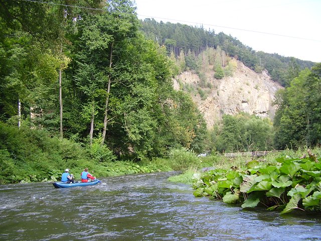 P7300027.jpg