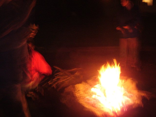 P7300077.jpg