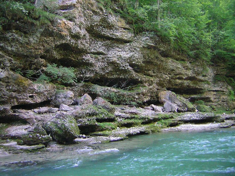 DSCN9074.jpg