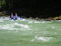 thn_P7080081.jpg