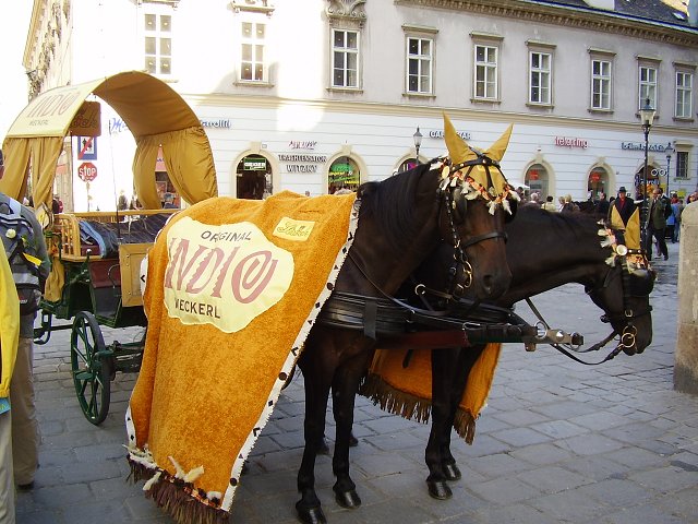 PA010049.jpg